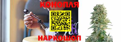 шишки Пугачёв