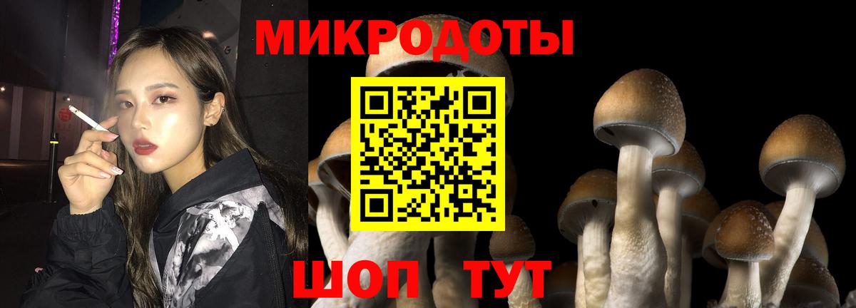 Скопин  Галлюциногенные грибы Magic Shrooms  Вход с VPN 